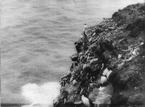 Vögel auf der Klippe