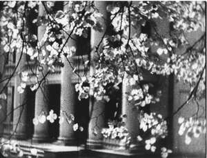 Haus in Gorki mit Sträuchern